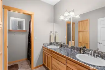 Lower level Bathroom