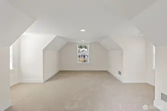 The muti-purpose bonus room may be used as an office, gym, rec-room, or possible ADU.