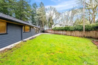 Spacious Yard