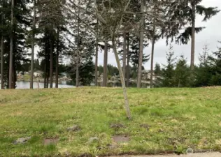 Homesite 21 - A gorgeous waterfront building site!