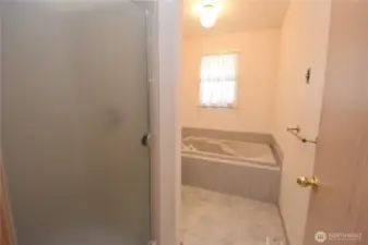 primary bath tub/shower