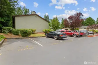 visitor parking spaces throughout