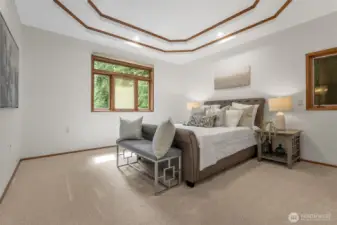 The spacious primary suite on the main level offers peaceful views and privacy. An inset ceiling with soft accent lighting adds a touch of elegance, while the walk-in closet can be further enlarged by converting an adjacent hallway storage space.