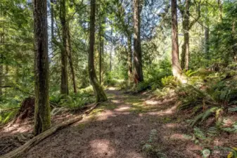 Peaceful paths throughout the property - it's a large piece of privacy, and you could create more areas of outdoor retreat! Whether you’re seeking a peaceful woodland escape, the perfect place to accommodate extended family, or a home that can grow with you over time—this Hobart gem delivers.