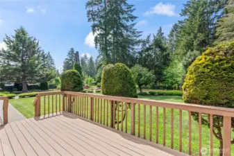Large TREX composite decking