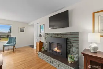 Gas Fire Place