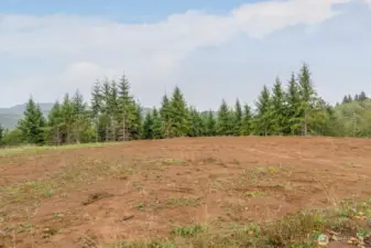 Flat land to build the perfect home