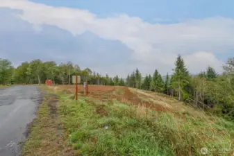 Paved County Road