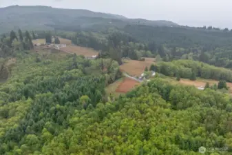 2 acres surrounded by Evergreen trees