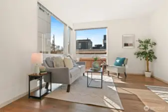 Huge windows for great light