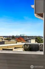 360 degree mountain and city views