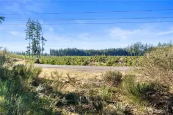 View across the street from property.