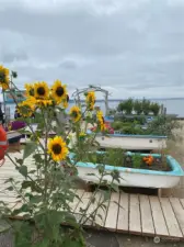 Nautical themed community garden