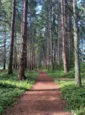 Golf course trail