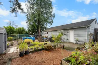 Back yard is mostly fenced with garden space.