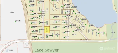 See property highlighted in yellow, access is off 312th and Lk Sawyer Rd