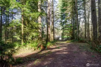 A lovely walk through the acreage surrounded by nature