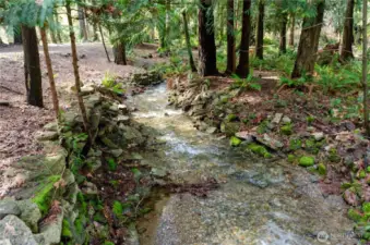 Complete serenity with a flowing creek.