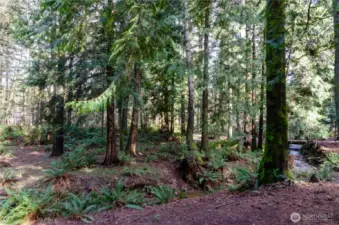 Plenty of places to relax as you listen to the creek flowing through the property