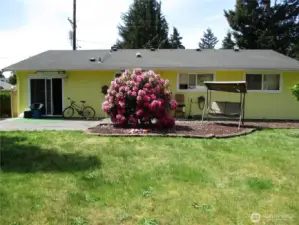 Beautiful back yard!