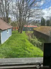 back yard