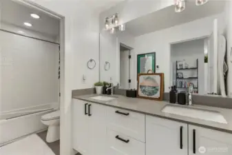 Lower level Bathroom