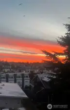 Views from Roof top deck