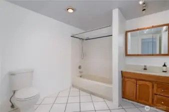 Full bathroom with plenty of room for more storage options.