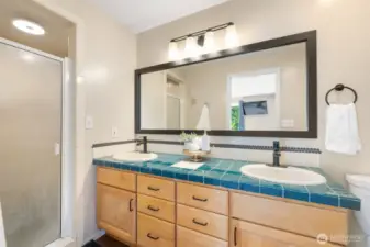 Primary bathroom.