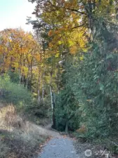 Trails connecting to Clear Creek trail system