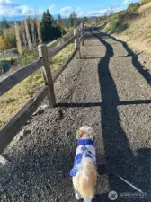 Pathway to private community dog park.