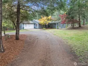 Circular drive at the house for ease of access, surrounded by mature trees & shrubs.