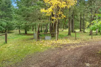 Another pasture area, the entire 7.83 acres is fully fenced and cross fenced.  Water spigots and electrical exist throughout the property.