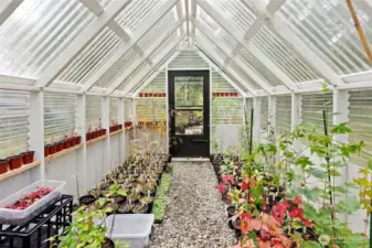 Interior of the greenhouse.