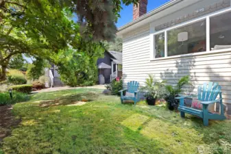 Front lawn under living room window.