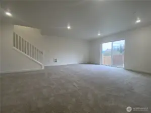 Rec room on lower level