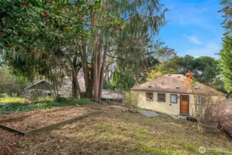 Upper part of the lot is great for playing, gardening or perhaps building a DADU?