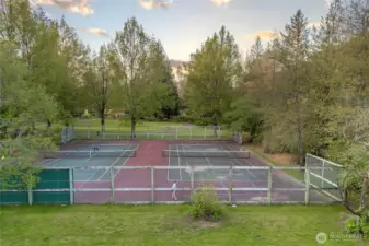 the park is filled with afterschoo; actities - picke ball anyone?