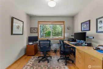 Double door office makes a great work space but be mindful not to get lost in that view.