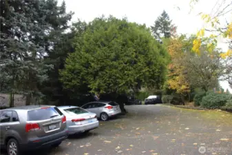 Lots of Parking