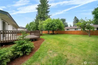 Large fenced backyard.
