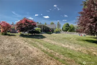 Expansive backyard