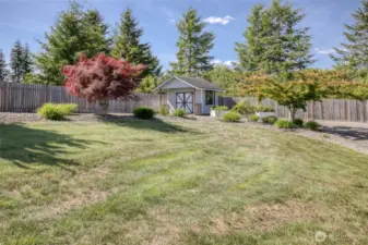 Front yard & Shed