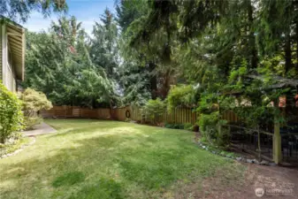 Looking back to Yard-Fully fenced with newer fencing!