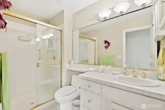 Guest bathroom