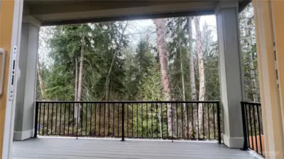 Deck from main level and behind home are the wetlands that offer that privacy and beautiful sounds of nature.