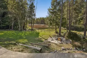 View of the back yard from the patio.