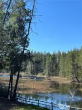 A view of the pond in April.