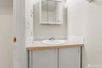 Sink in 1/2 Bathroom
