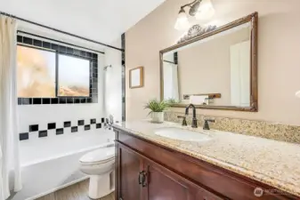 Main bath lower level